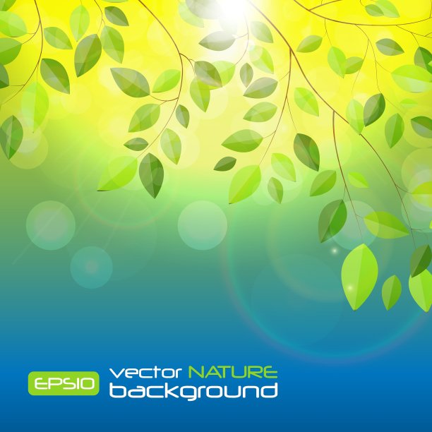 闪亮的春天自然树叶背景图片下载
