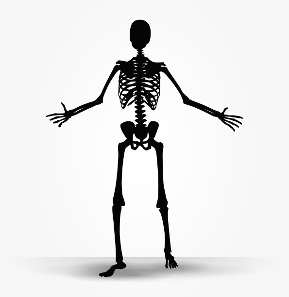 恳求姿势中的骨架轮廓图片下载