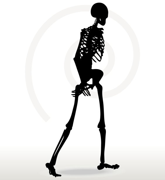行走中的骨架剪影图片下载