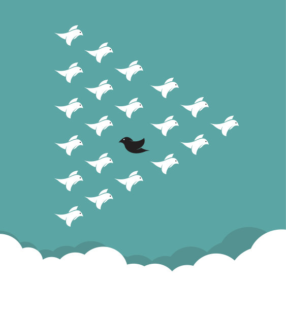 一群鸟儿在天空中飞翔图片下载