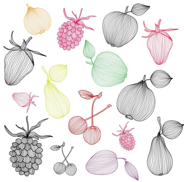 水果组图片下载