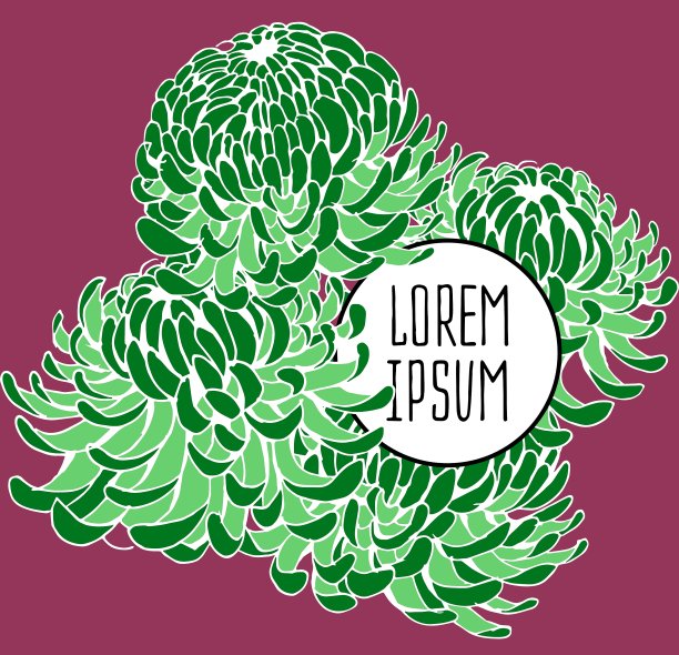 美丽的花卉背景艺术图片下载