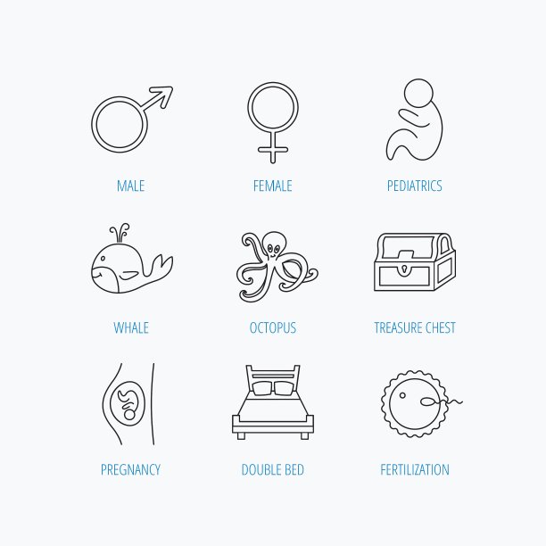 受精怀孕和儿科图标图片下载