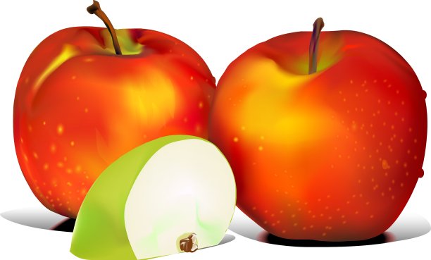 苹果的图形图片下载