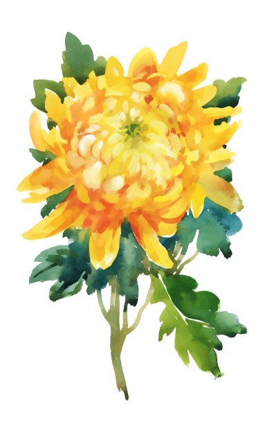 水彩花在古典风格的白色上图片下载