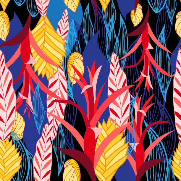 模式植物图片下载