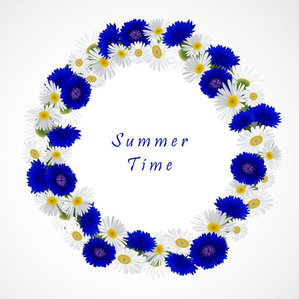 白色背景与洋甘菊和图片下载