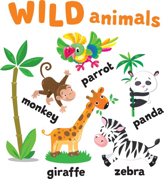 一组有趣的动物图片下载