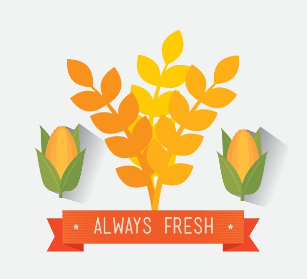 素食的设计图片下载