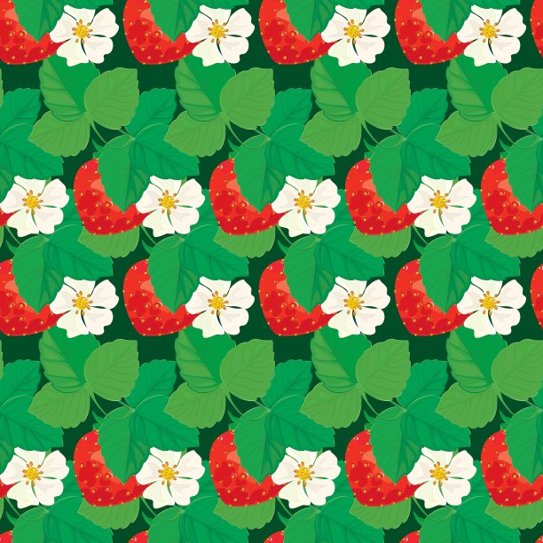 草莓无缝衣片6 380图片下载