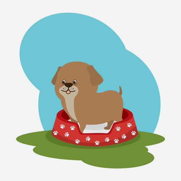 宠物店设计图片下载