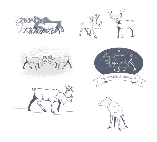 驯鹿图片下载