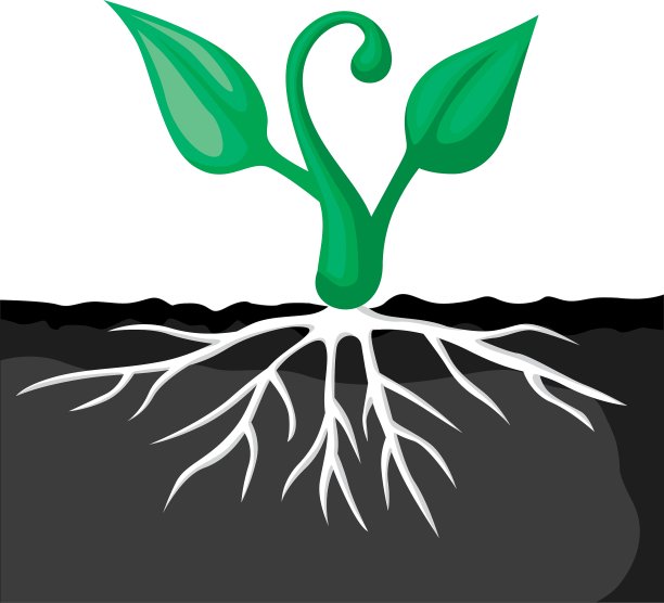 发芽的卡通图片下载