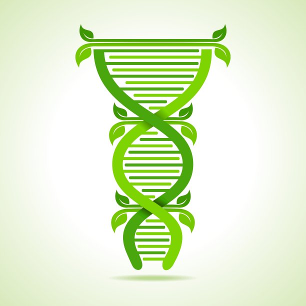 生态学概念-叶子构成DNA链图片下载