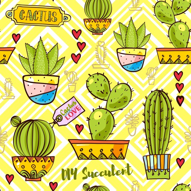 cactuspatterns趋势图片下载