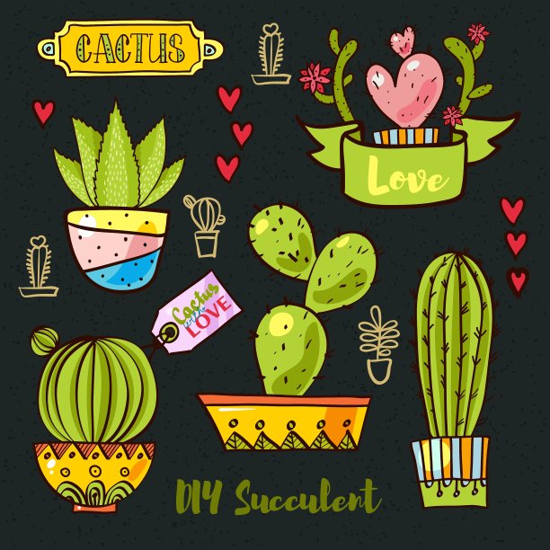 盆中有仙人掌和多肉植物图片下载