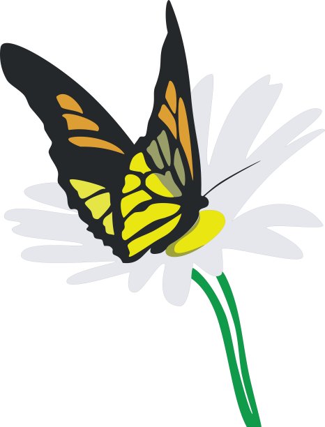 花上的蝴蝶02图片下载