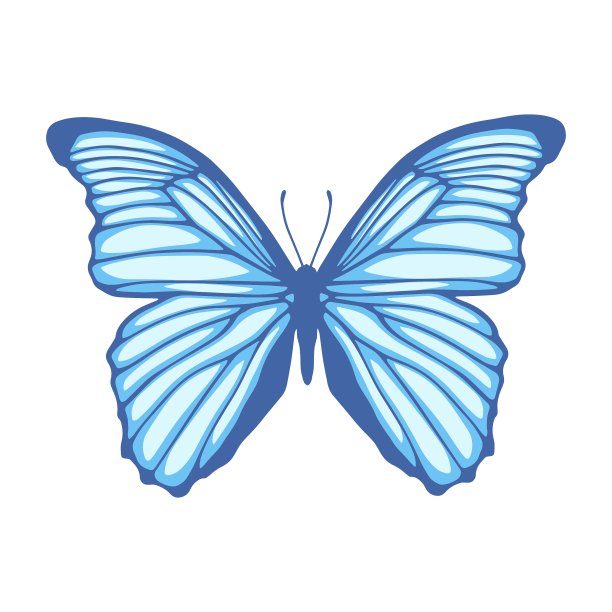 丁特飞图片下载