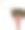 卡通女孩挥舞着语音泡泡图片下载