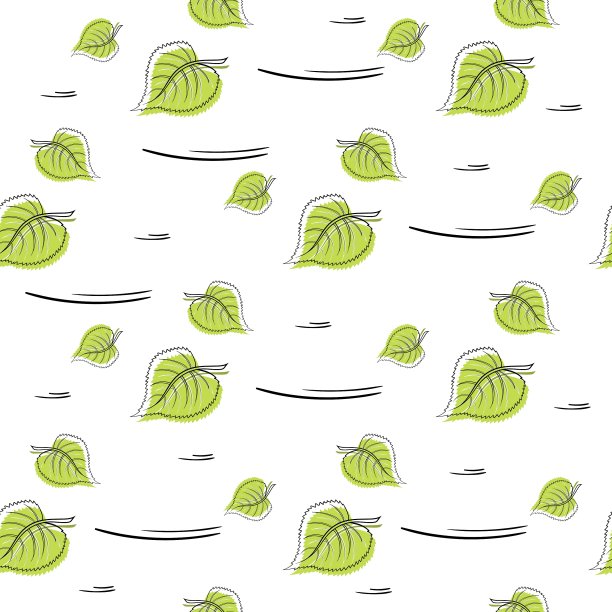 白色背景下树叶的全帧拍摄图片下载