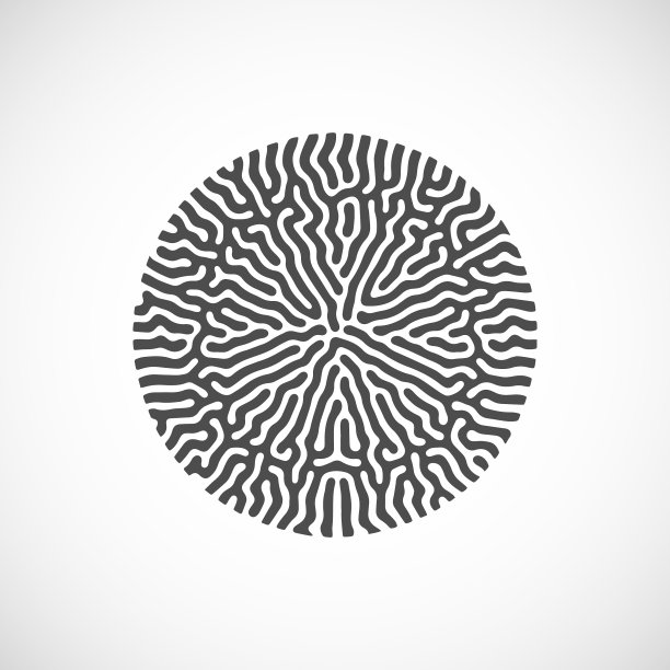 摘要生物形状图片下载