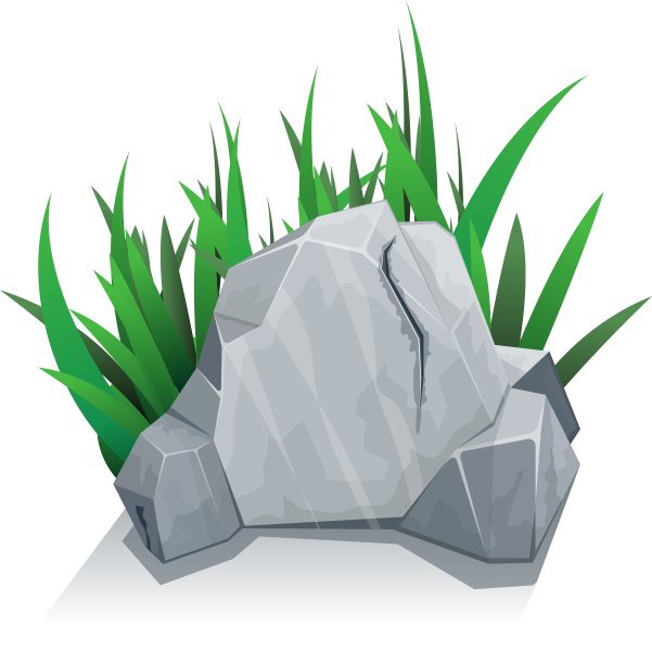 独石加草图片下载