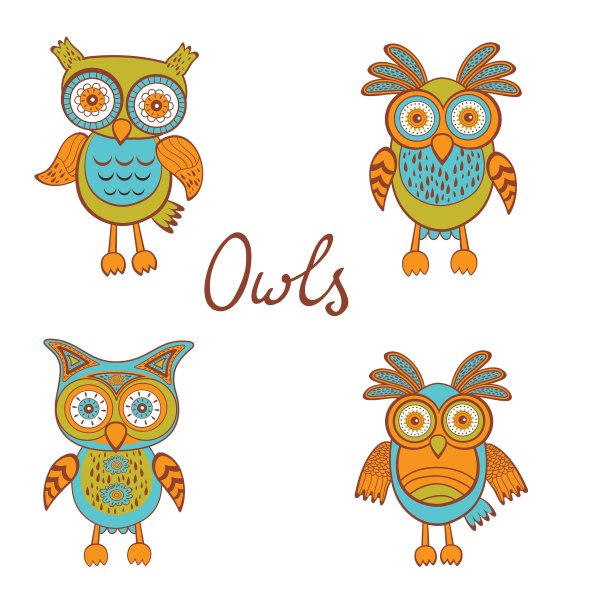 可爱有趣的猫头鹰图片下载