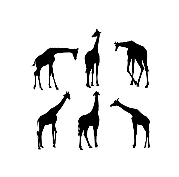 长颈鹿轮廓集图片下载