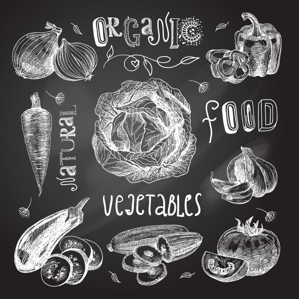 蔬菜素描黑板图片下载