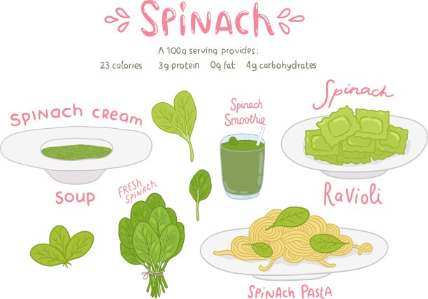 卡通手绘菠菜食品套装图片下载