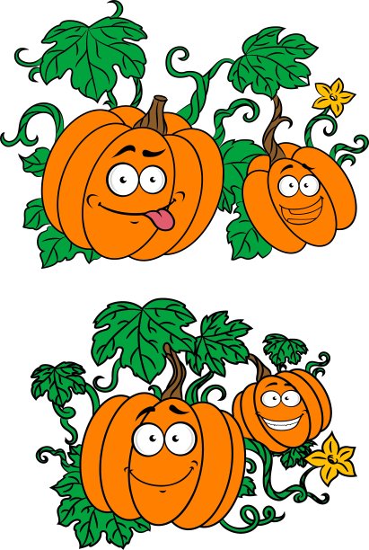 卡通南瓜在藤蔓上生长图片下载