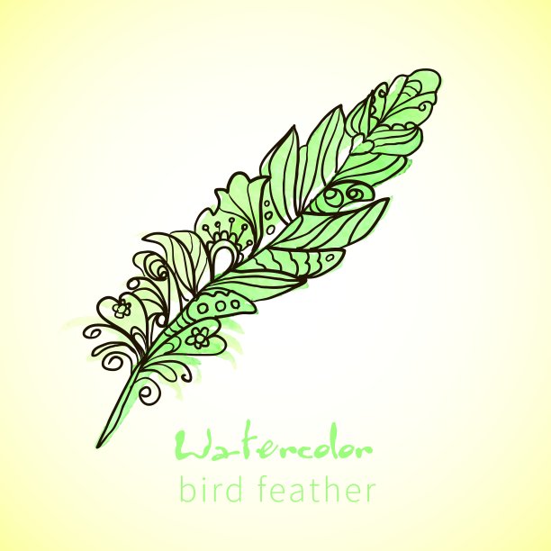 羽毛画活水彩颜料图片下载