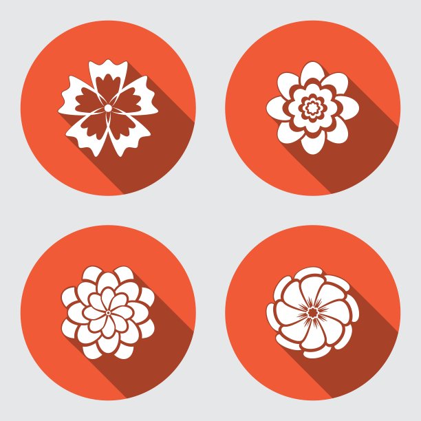 花的图标设置洋甘菊菊菊花图片下载