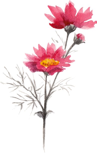 水彩画的粉红色夏天的花图片下载