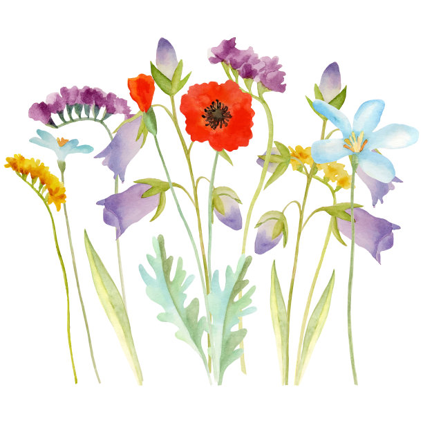 水彩花牌图片下载