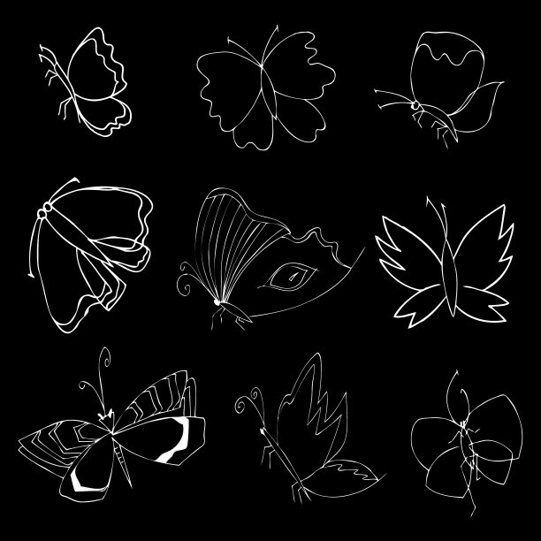 昆虫涂鸦集图片下载