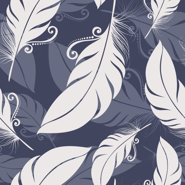 无缝图案与羽毛图片下载