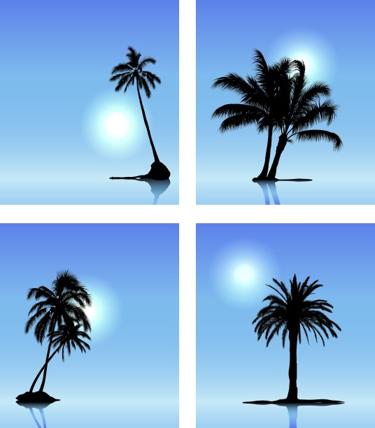 一组棕榈树剪影图片下载