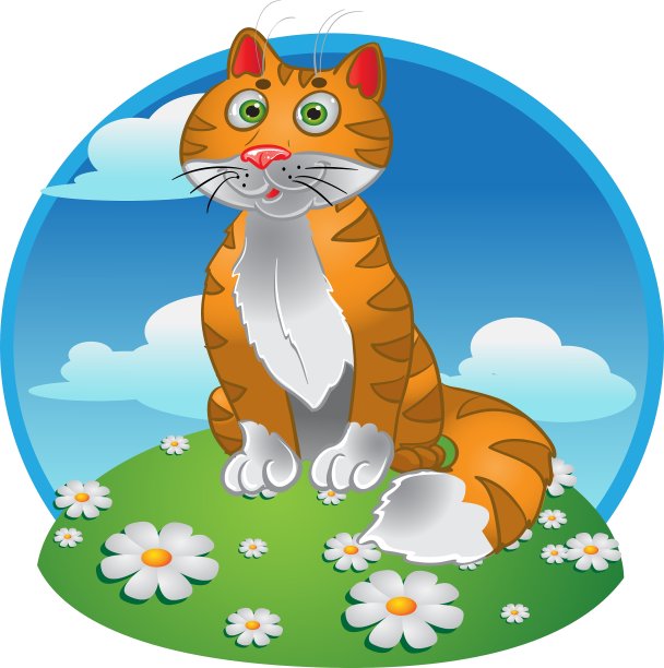 橙色有趣的坐在猫的颜色背景图片下载