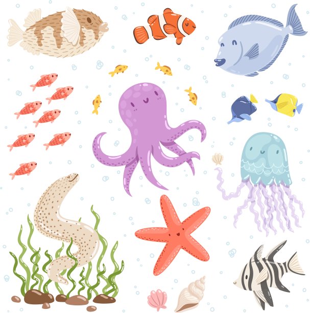 海洋生物图片下载