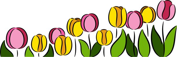 郁金香花图片下载