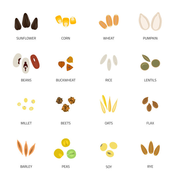 种子图标平图片下载