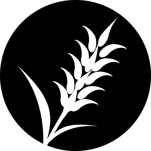 小麦、大麦或黑麦视觉图形图标图片下载