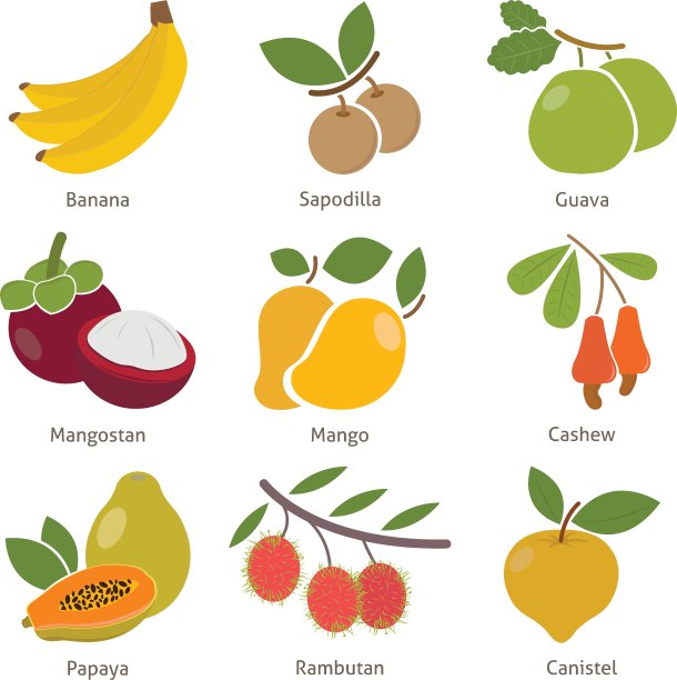 水果和浆果图片下载