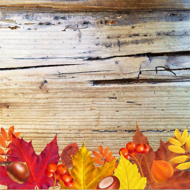 秋木边界图片下载