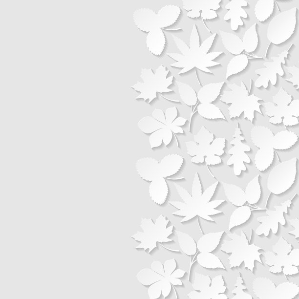 抽象的背景与纸叶子图片下载