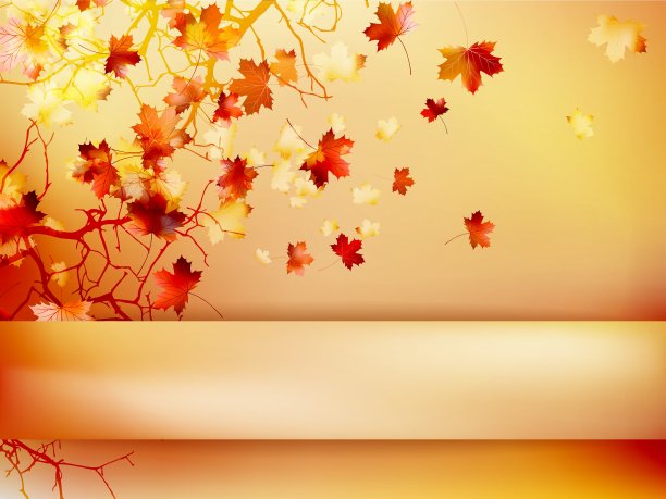 秋天与树叶回学校EPS 10图片下载