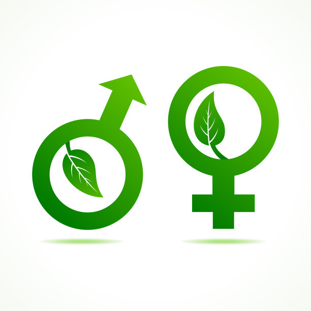 男性和女性的象征与叶图片下载