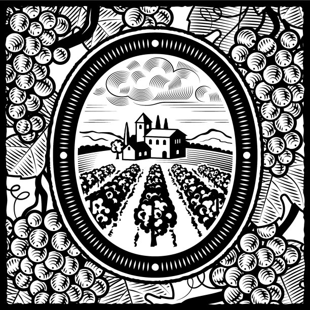 葡萄园黑与白图片下载