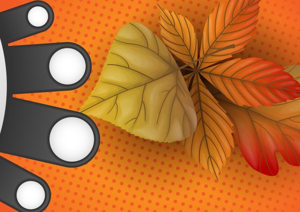 秋天出售图片下载